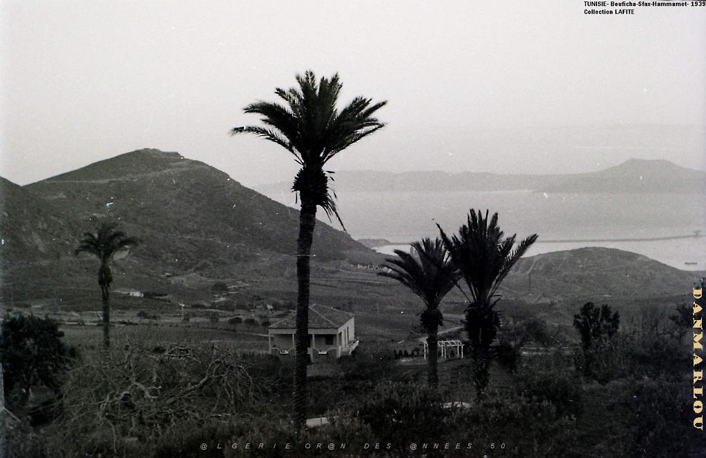 TUNISIE 1939  66 EME  REGIMENT D ARTILLERIE (35).JPG